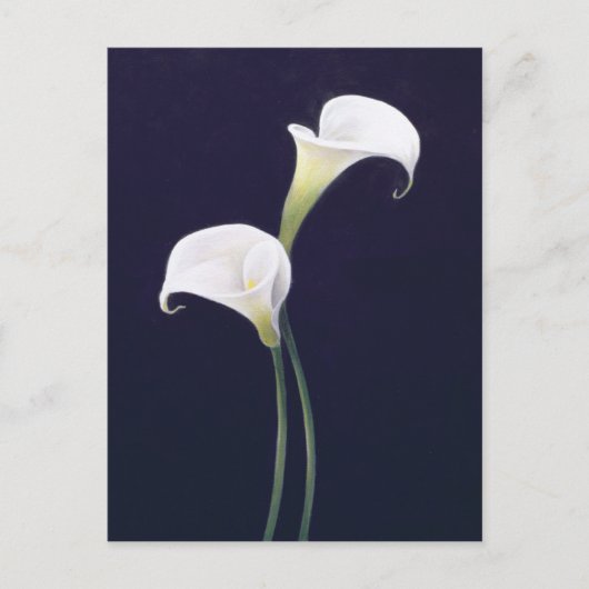 Lily Postkarte (Vorderseite)