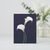 Lily Postkarte (Stehend Vorderseite)