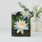 Lily Postkarte (Stehend Vorderseite)