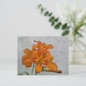 Lily Postkarte (Stehend Vorderseite)