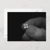 Lily Postkarte (Vorne/Hinten)