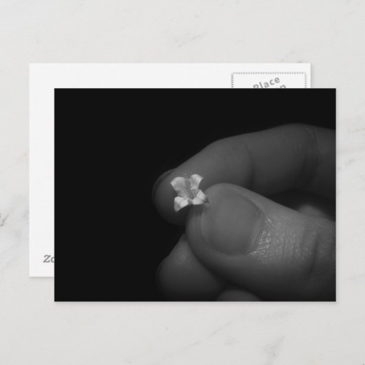 Lily Postkarte (Vorne/Hinten)