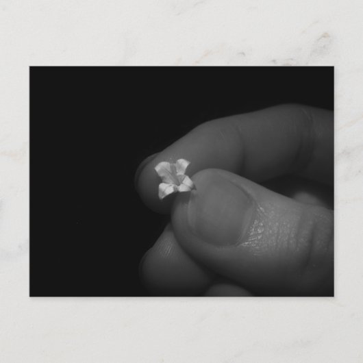 Lily Postkarte (Vorderseite)