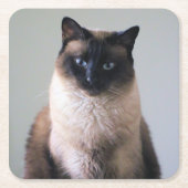 Lily Rechteckiger Pappuntersetzer (Vorderseite)