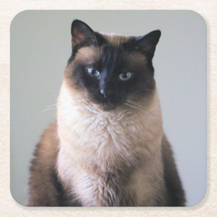 Lily Rechteckiger Pappuntersetzer