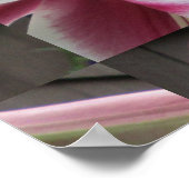 Lily Red White Pflanzen House Poster (Ecke)