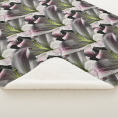 Lily Sherpadecke (3/4)