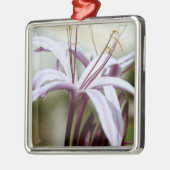 Lily Silbernes Ornament (Links)