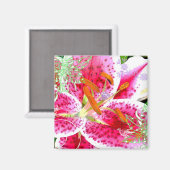Lily Stargazer Fantasy, Magnet (Vorderseite/Rückseite)