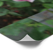 Lily Stargazer Lila Blume Poster (Ecke)