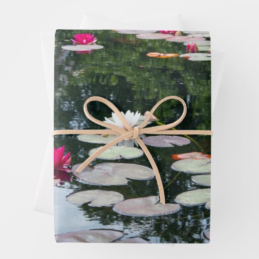 Lily-Teich Geschenkpapier Set (Beispiel)