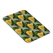 Lily Time... Magnet (Rechte Seite)