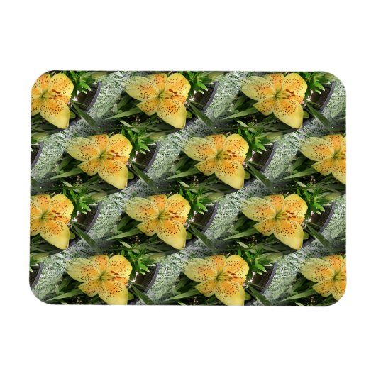 Lily Time... Magnet (Horizontal)