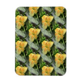 Lily Time... Magnet (Vertikal)