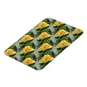 Lily Time... Magnet (Linke Seite)