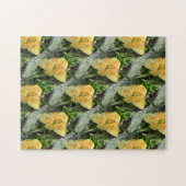 Lily Time... Puzzle (Horizontal)