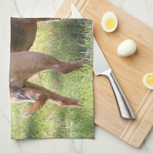 Lily Towel Geschirrtuch (Viertel Falte)