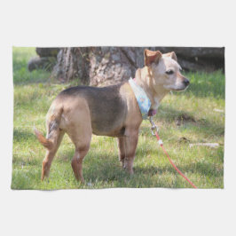 Lily Towel Geschirrtuch