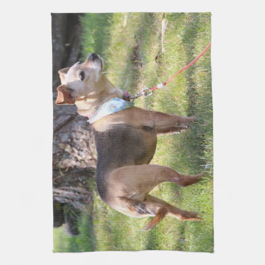 Lily Towel Geschirrtuch (Vertikal)