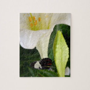 Lily und Butterfly Puzzle