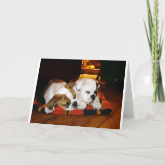 Lily und Ziggy Holiday Pose Feiertagskarte