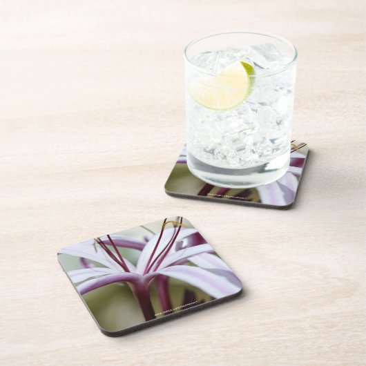 Lily Untersetzer (Rechte Seite)