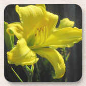 Lily Untersetzer (Vorderseite)