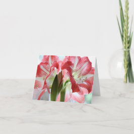 Lily Verigated Jeden Anlaß Folded Grußkarte Dankeskarte
