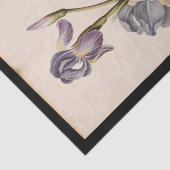 Lily von Jacques de Morgues Seidenpapier (Ausschnitt)