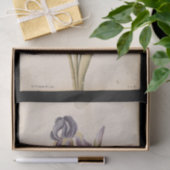 Lily von Jacques de Morgues Seidenpapier (Geschenk)