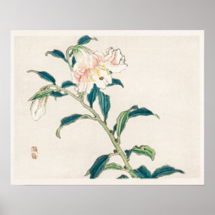Lily von Kōno Bairei (1844-1895) Poster