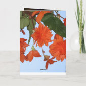 Lily White Blume Friedensbüro Liebe Destiny Karte (Rückseite)