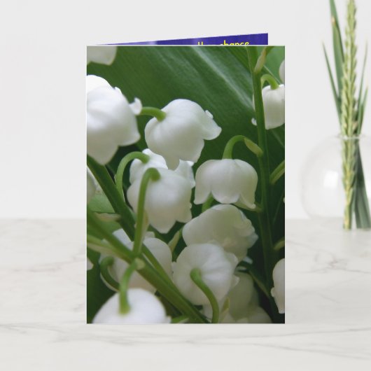 Lily White Blume Friedensbüro Liebe Destiny Karte (Vorderseite)