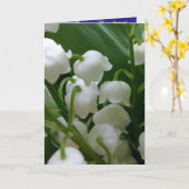 Lily White Blume Friedensbüro Liebe Destiny Karte (Gelbe Blume)