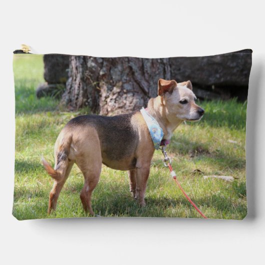 Lily Zubehörtasche (Vorderseite)