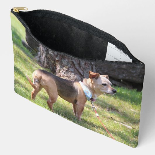 Lily Zubehörtasche (Offen)