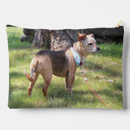 Lily Zubehörtasche (Rückseite)