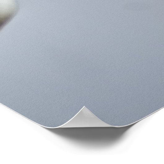 Lilyessenz Poster (Ecke)