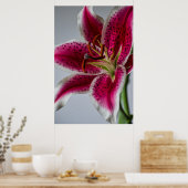 Lilyessenz Poster (Küche)