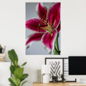 Lilyessenz Poster (Heimbüro)