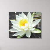 Lilypad Leinwanddruck (Vorderseite)
