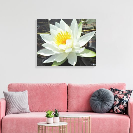 Lilypad Leinwanddruck (Insitu (Wohnzimmer))