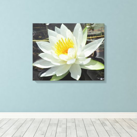 Lilypad Leinwanddruck (Insitu (Holzboden))