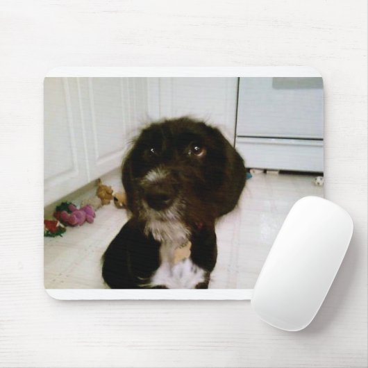 Lilypad Mausunterlage Mousepad (Mit Mouse)