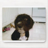 Lilypad Mausunterlage Mousepad (Vorne)