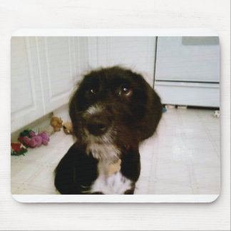 Lilypad Mausunterlage Mousepad