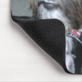 Lilypad Mousepad (Ecke)