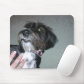 Lilypad Mousepad (Mit Mouse)