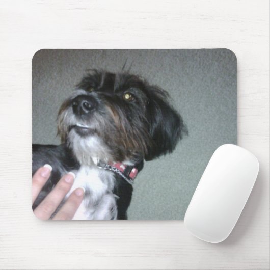 Lilypad Mousepad (Mit Mouse)