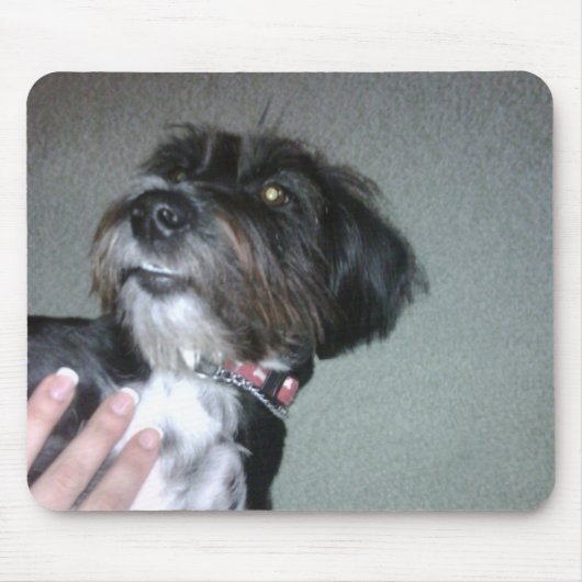 Lilypad Mousepad (Vorne)